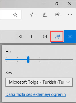 PDF ve EPUB Windows 10'da Sesli Okuma