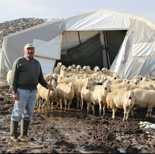 Çobanlık bir peygamber mesleğidir