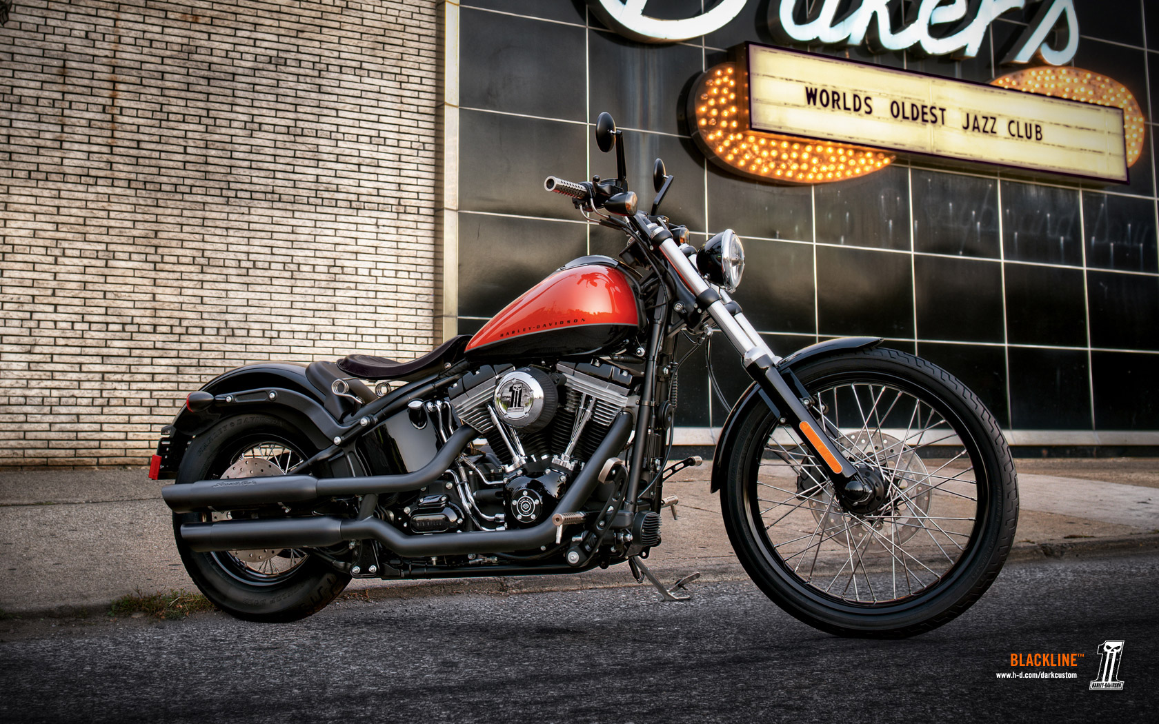 Blackline. Harley Davidson Blackline. Harley Davidson Softail 2011. Harley Davidson Blackline характеристики. Harley Davidson Gold and Blak.