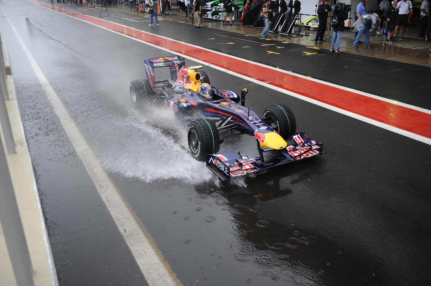  19 FORMULA 1 GRANDE PRÊMIO PETROBRAS DO BRASIL 2013 (São Paulo)