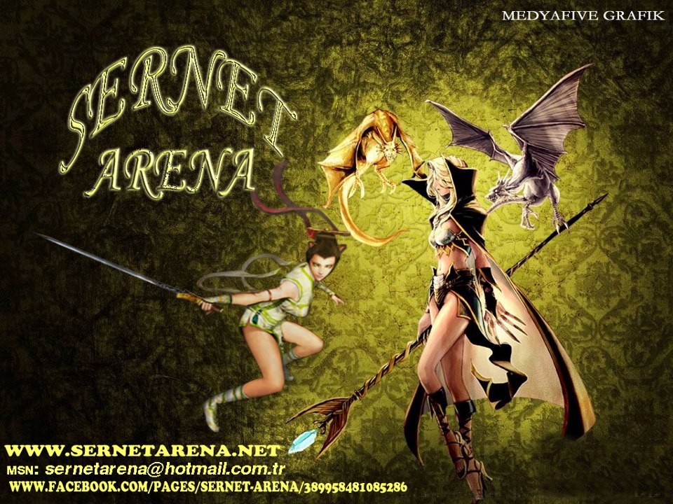  Sernet Arena Online 120 Cap 10 Dg FB items  Npcde