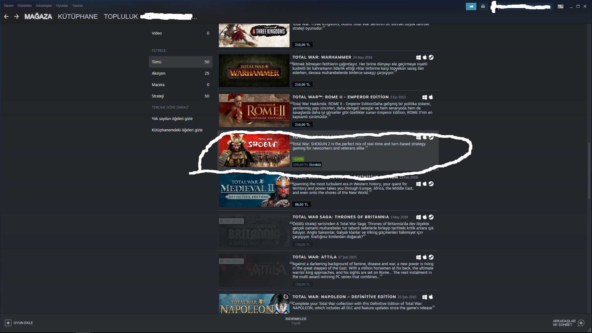 Steam, Total War: Shogun 2 hediye ediyor