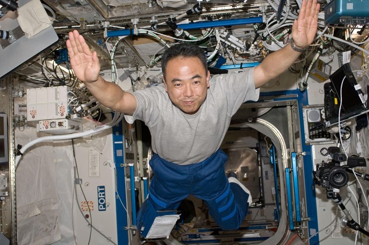 Japon astronot, yaptığı bilimsel deneyin sonuçlarını kafasından uydurdu