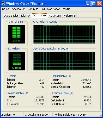  Cpu kullanımı %100 n'yapmalıyım?