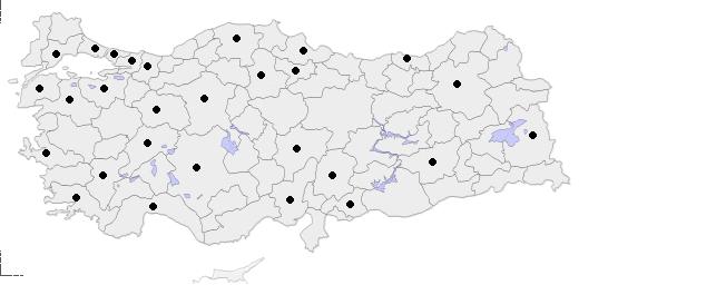  DFM SUCCE ALMALIMIYIM KARA VEREMIYORUM