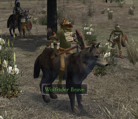  Mount and Blade :Warband / WARSWORD CONQUEST MOD