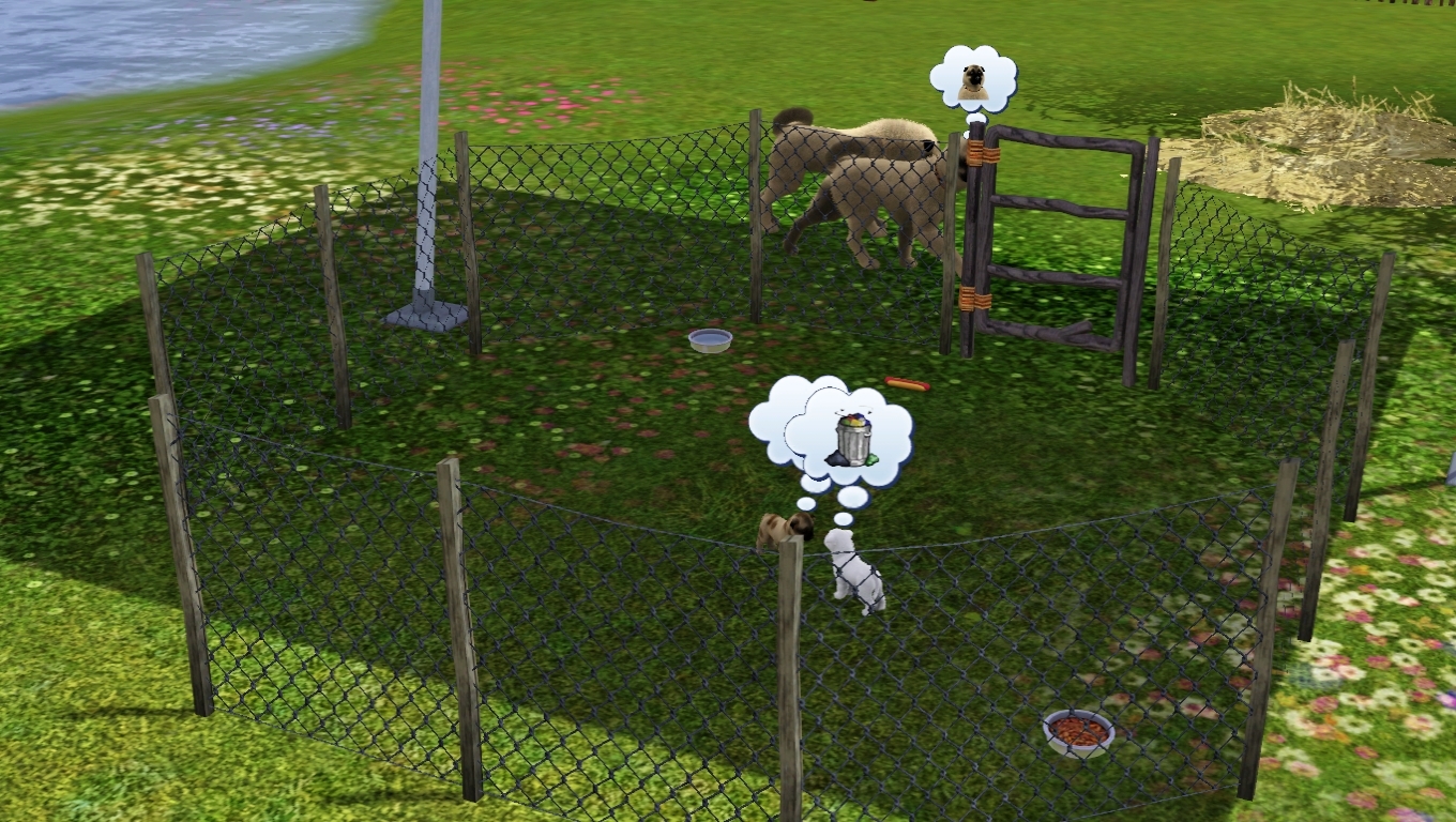 Sims 3 Pets Kangal Çiflik Görüntüleri