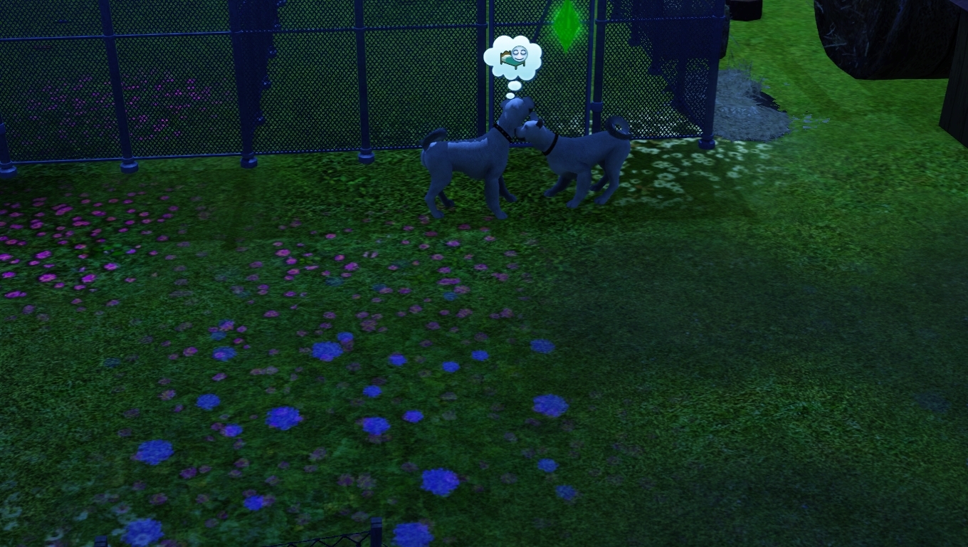  Sims 3 Pets Kangal Çiflik Görüntüleri