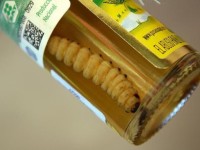  Tekilla+Kurt yapan var mı?