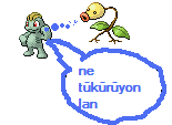  Pokemon Resimleri