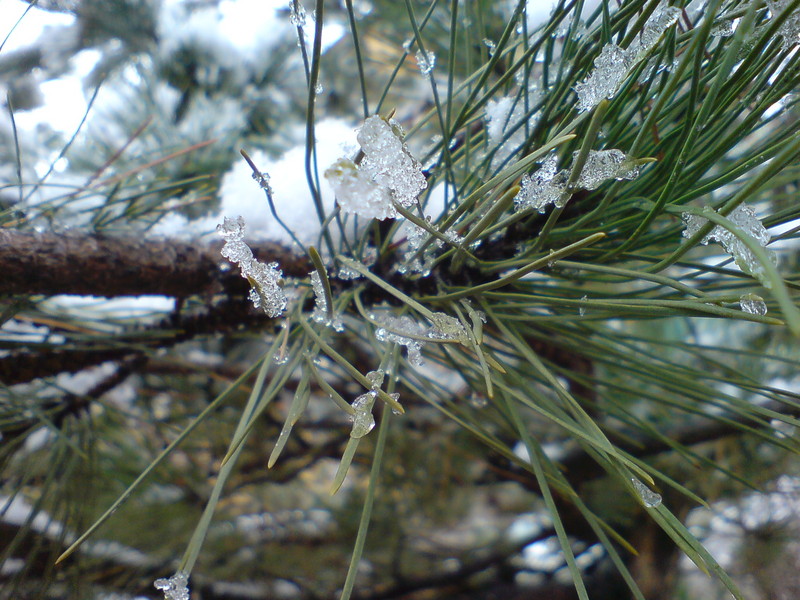  ===>3,2MPLİ k770/K790/K810/C510/P1 FOTOĞRAF PAYLAŞIM ARENASI<===