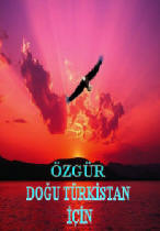  Türk'ün Kanayan Yarası; Doğu Türkistan (kitap)
