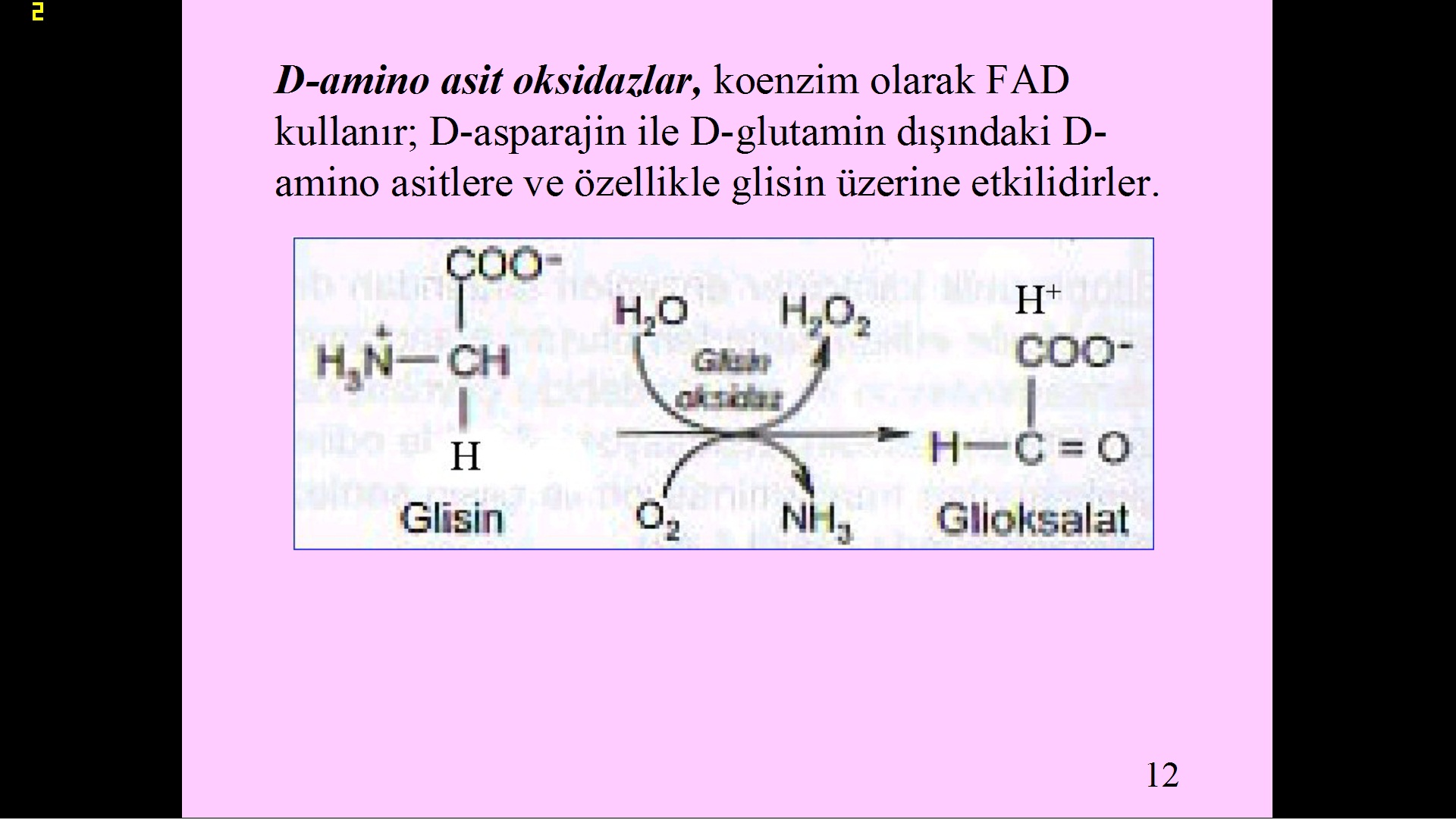  Evrim ve Tesadüf