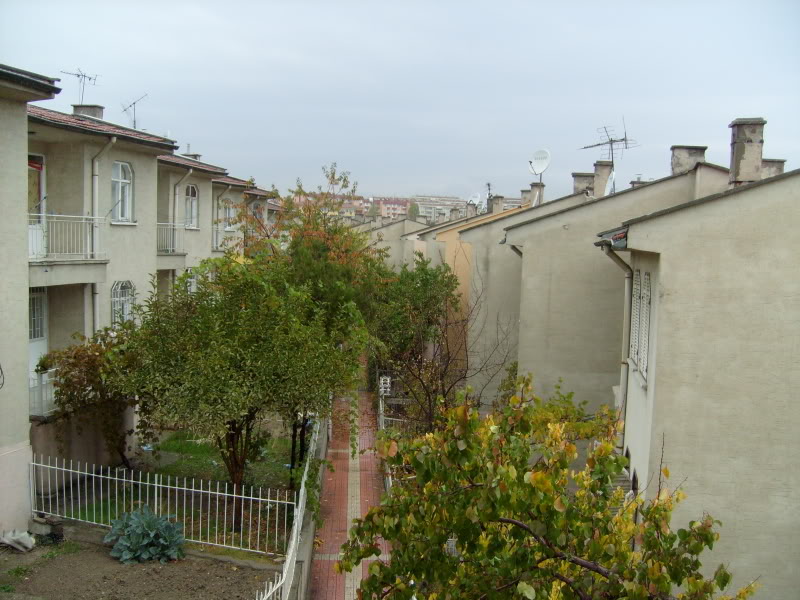  ===>3,2MPLİ k770/K790/K810/C510/P1 FOTOĞRAF PAYLAŞIM ARENASI<===