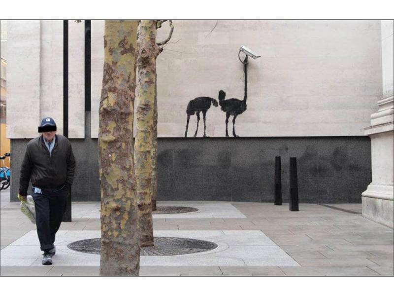  YARATICILKTA SON NOKTA (BOL SS Lİ)