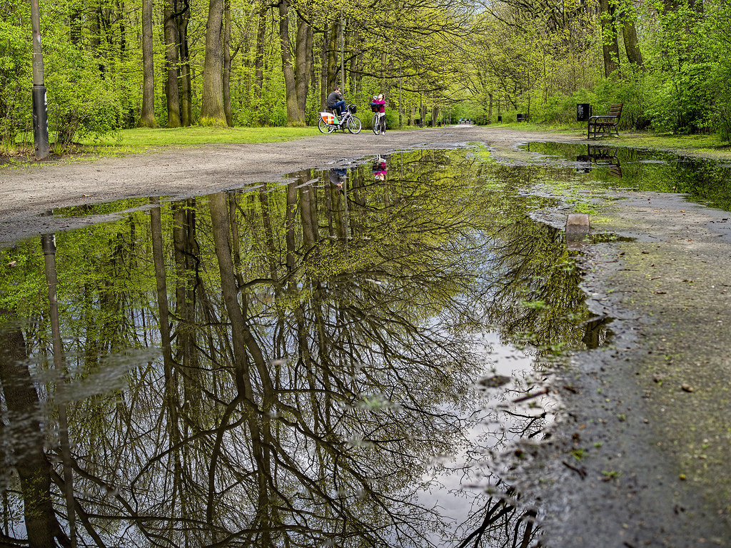  Bahçeköy'de bulunan Atatürk Arboretumu