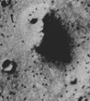  Mars'ta hayat var mı?
