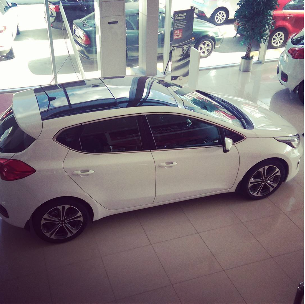  2015 model Focus & Creed & Seat leon Hangs ? ( Dizel )