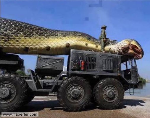  43 Metre uzunluk, 6 Metre genişlikte yılan bulundu..! SS'li