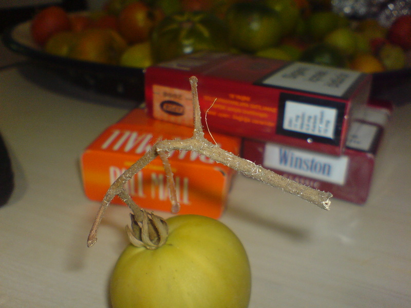  ===>3,2MPLİ k770/K790/K810/C510/P1 FOTOĞRAF PAYLAŞIM ARENASI<===