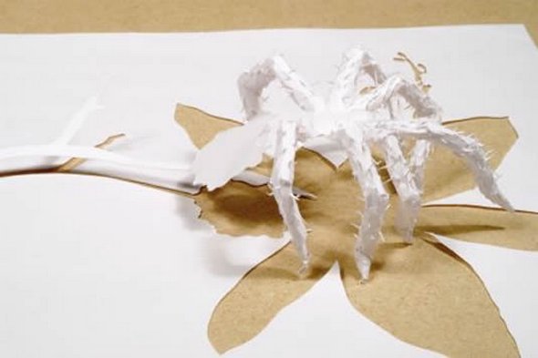  A4 Kağıtla Adamlar Neler Yapmış [SS]