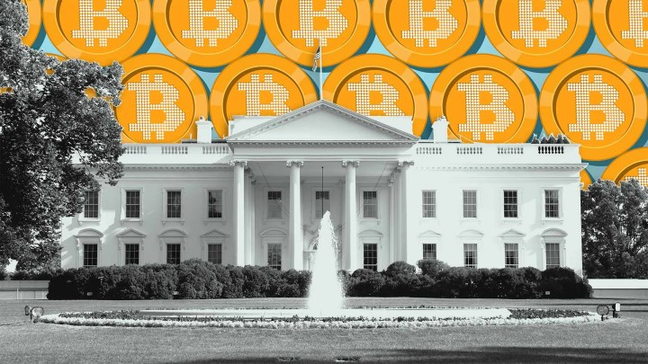 Trump, kripto para sorumlusu atayacak: Bitcoin daha da yükselebilir!