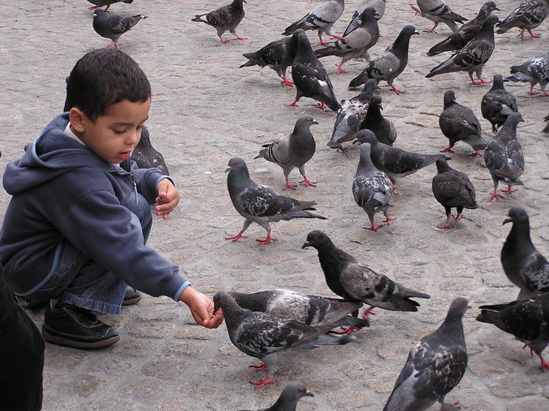  ''İçinden en az 3 şiş geçmesine rağmen patlalamış balon''