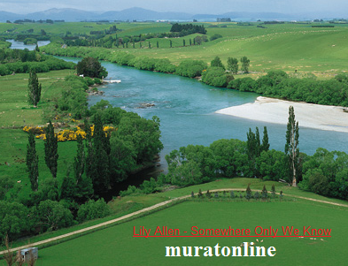  25.Dh şarkı yarışması (kazanan zorradam)