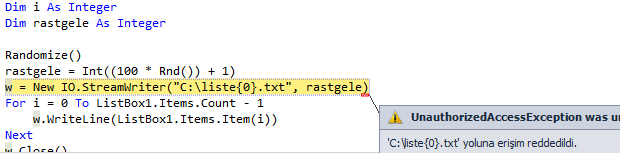  Visual Basic C:/ yoluna erişim sağlama ve dosyaya rastgele isim verme acil yardım lütfen