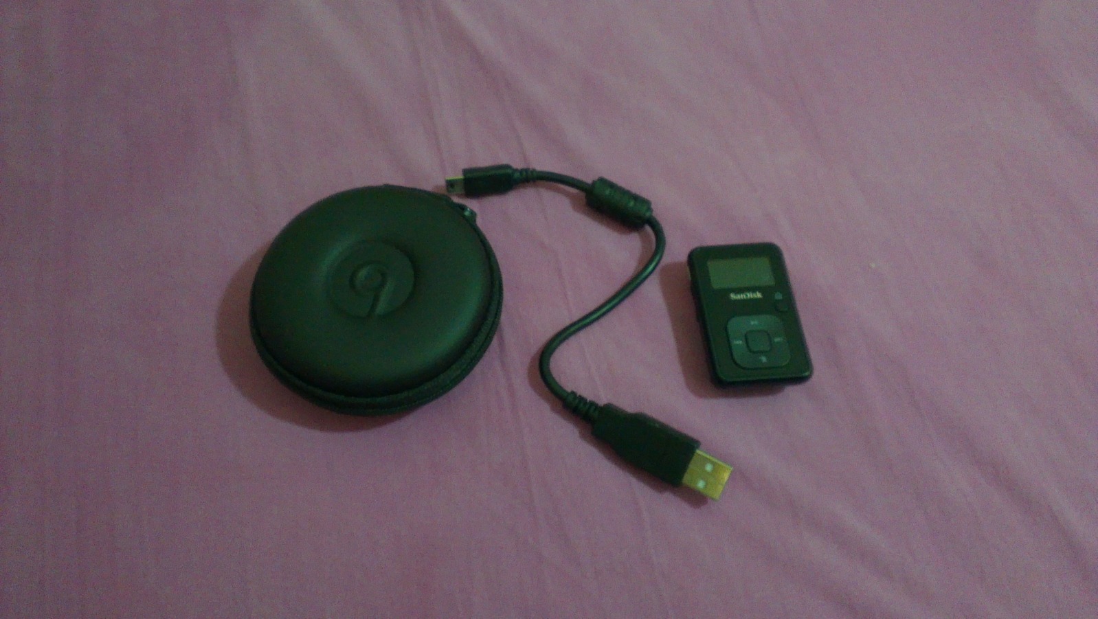  Sandisk Sansa+ MP3 Player