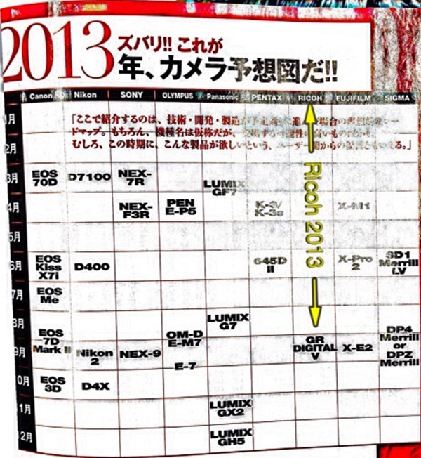 Japon Nippon Magazine, 2013 yılında gelmesi beklenen fotoğraf makineleri hakkında bir grafik yayınladı