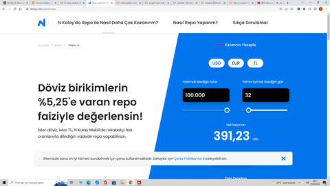 Ev satıp vadeye yatırmak mantıklı mı ?