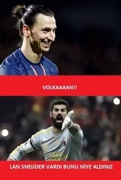  ZLATAN İBRAHİMOVİC (TOTEM)