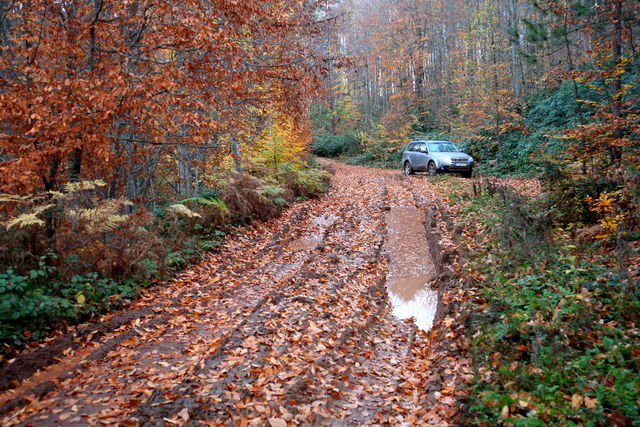  Corolla gitti, Forester geldi.(Yeni Fotoğraflar+Videolar))