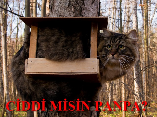  Otobüste tanıştığım kız(Devam)