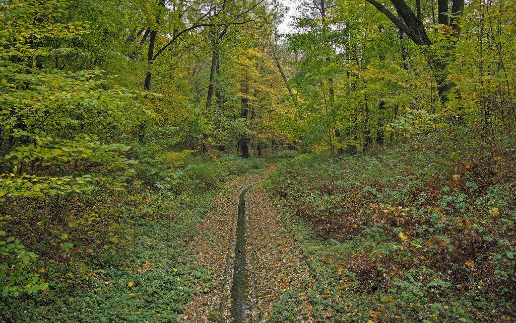  Bahçeköy'de bulunan Atatürk Arboretumu