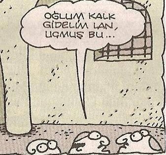  Türklerin her şeye burnunu sokmaları