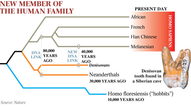  Neanderthaller 'mağara adamı' değilmiş !