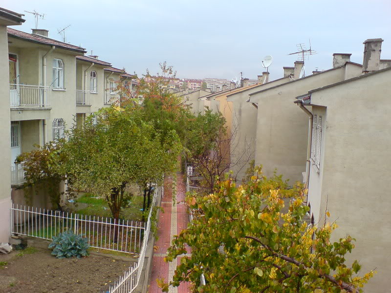  ===>3,2MPLİ k770/K790/K810/C510/P1 FOTOĞRAF PAYLAŞIM ARENASI<===