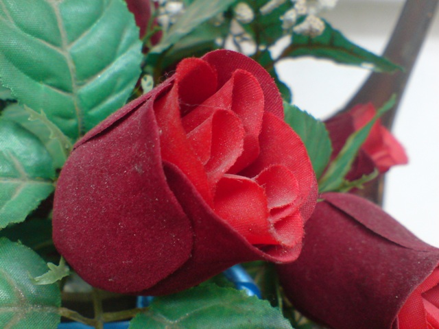  ===>3,2MPLİ k770/K790/K810/C510/P1 FOTOĞRAF PAYLAŞIM ARENASI<===