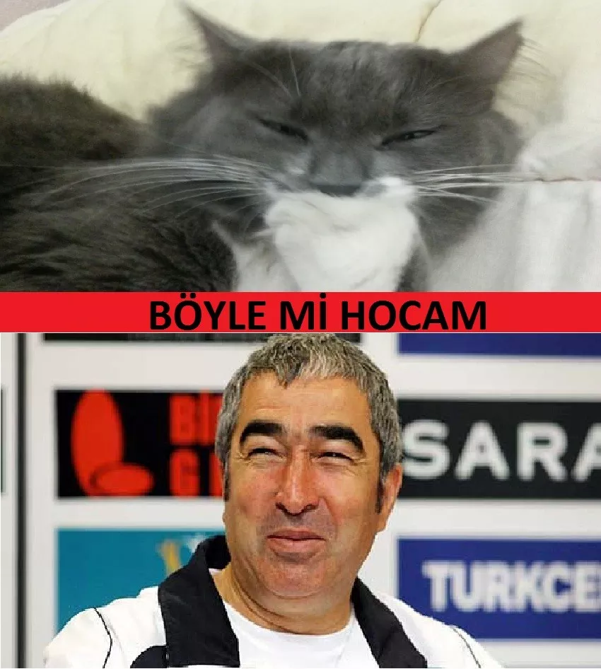  KEDİM (SS) Alt'a yazı geçelim