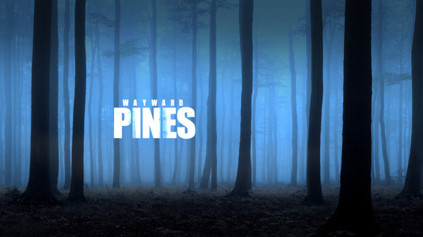  Wayward Pines (2014)