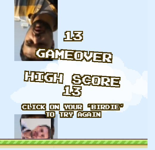  Flappy DH Yaptim