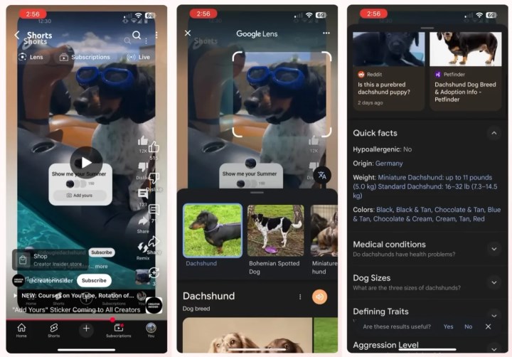 YouTube Shorts için Google Lens entegrasyonu duyuruldu