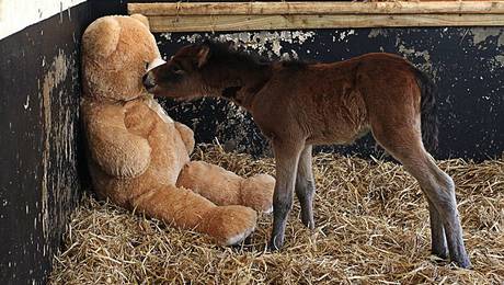  Yalnızlık böyle birşey olsa gerek