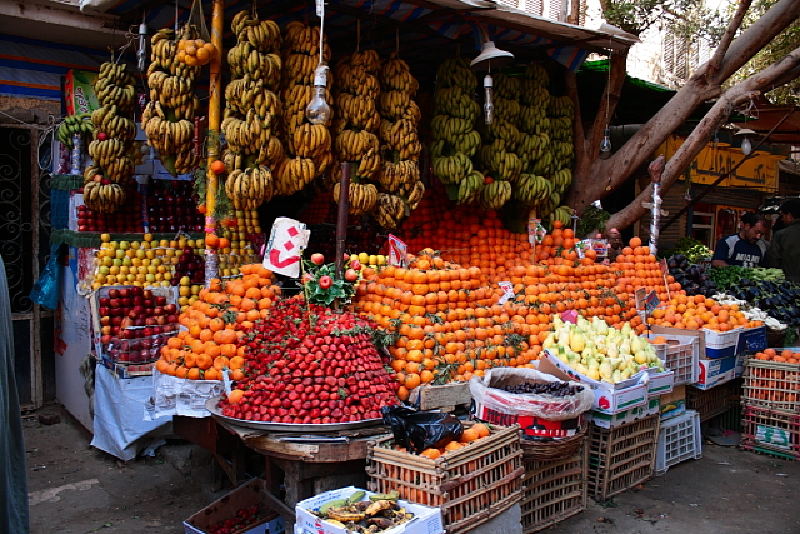 Mısır Gezisinden Fotoğraflar (İskenderiye, Kahire, Sharm El Sheikh) 26 Temmuz 2011