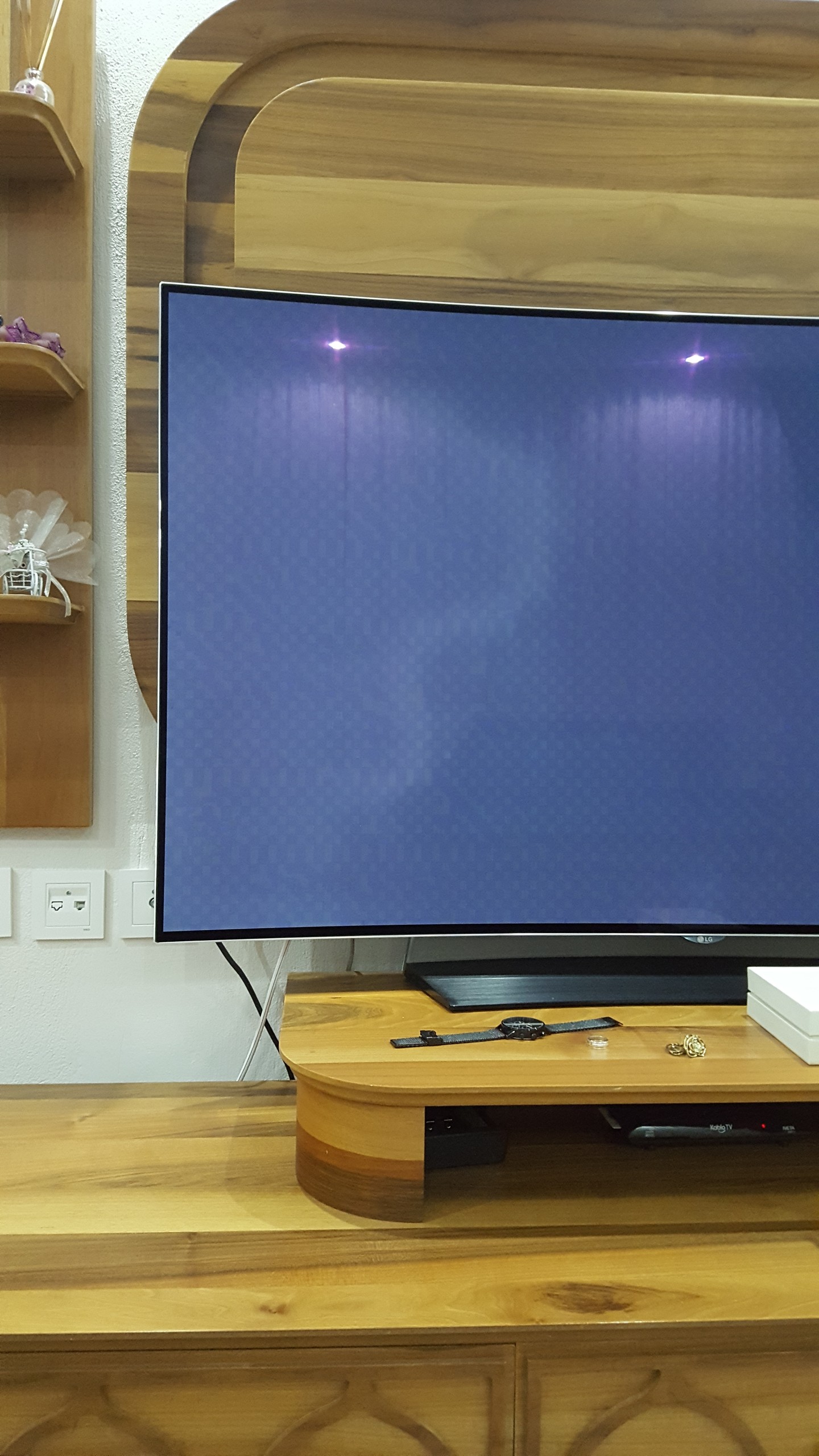 LG OLED 55c6v ekran sorunu