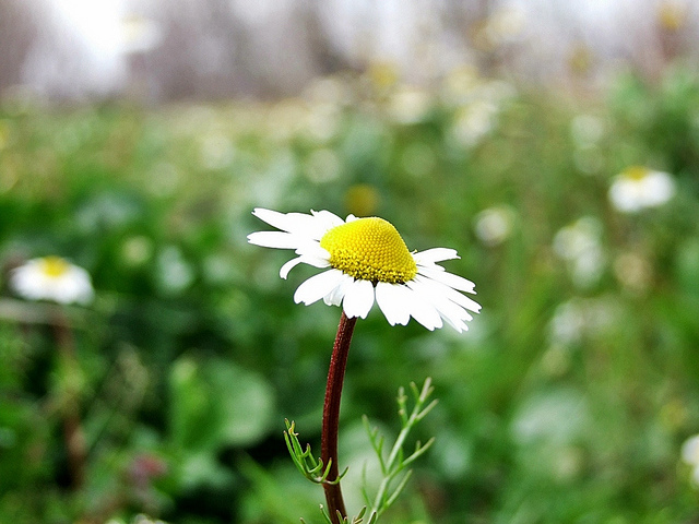  FUJİ  S200EXR (ana başlık)