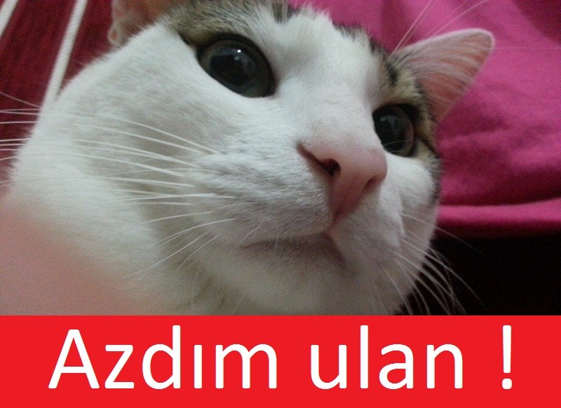  Azman bana hallendi.[sm=naugthy.gif] [SS'Lİ]