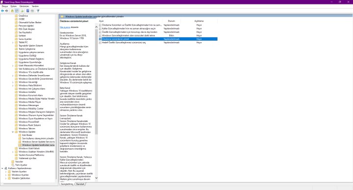 Windows 11, kullanıcı ayarlarını göz ardı ederek zorla ekran kartı sürücülerini yüklüyor!
